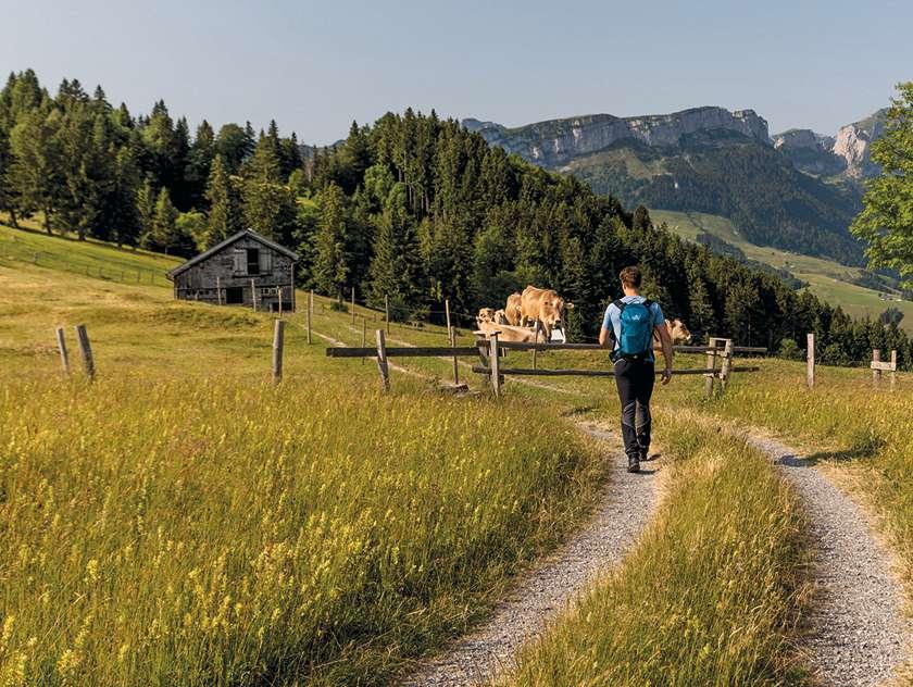 Bild_Appenzellerland bild-appenzellerland